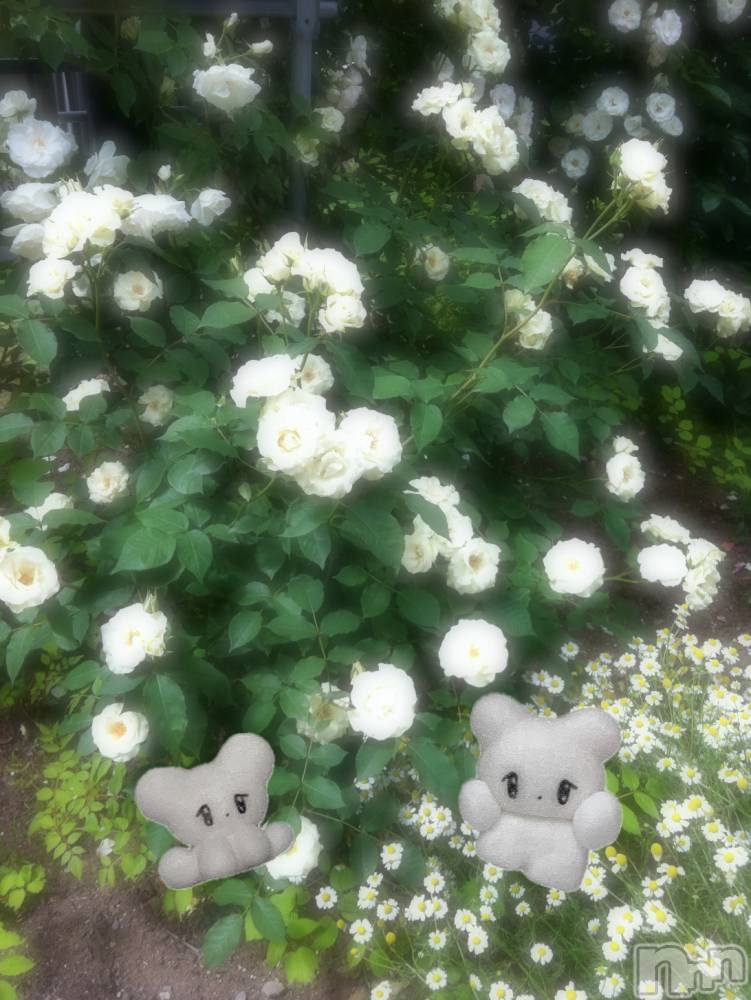 ƲХ顦clubTiara(ƥ) Ĥ614̥֥֥饤ȡ