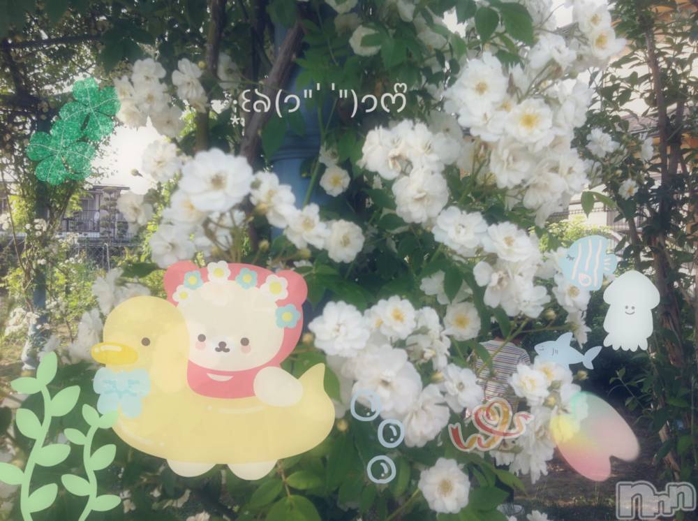 ƲХ顦clubTiara(ƥ) Ĥ627ֳ̥֥