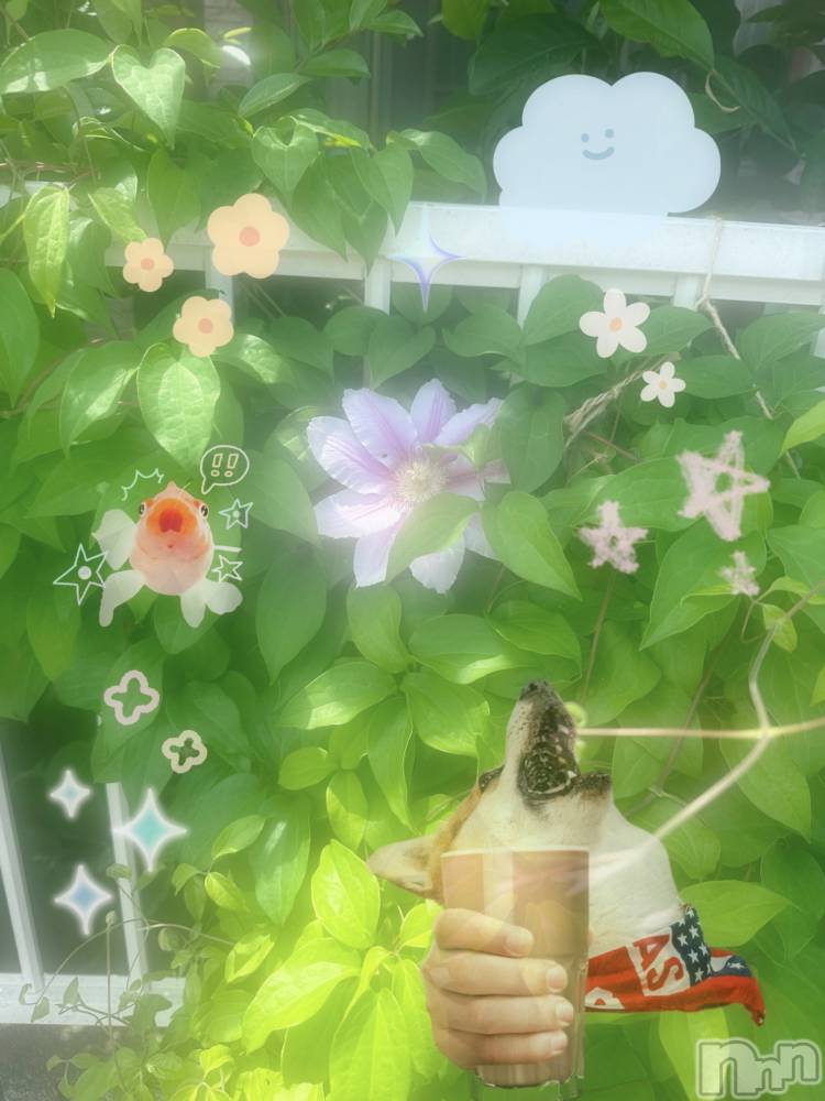ƲХ顦clubTiara(ƥ) Ĥ713ּ̥֥