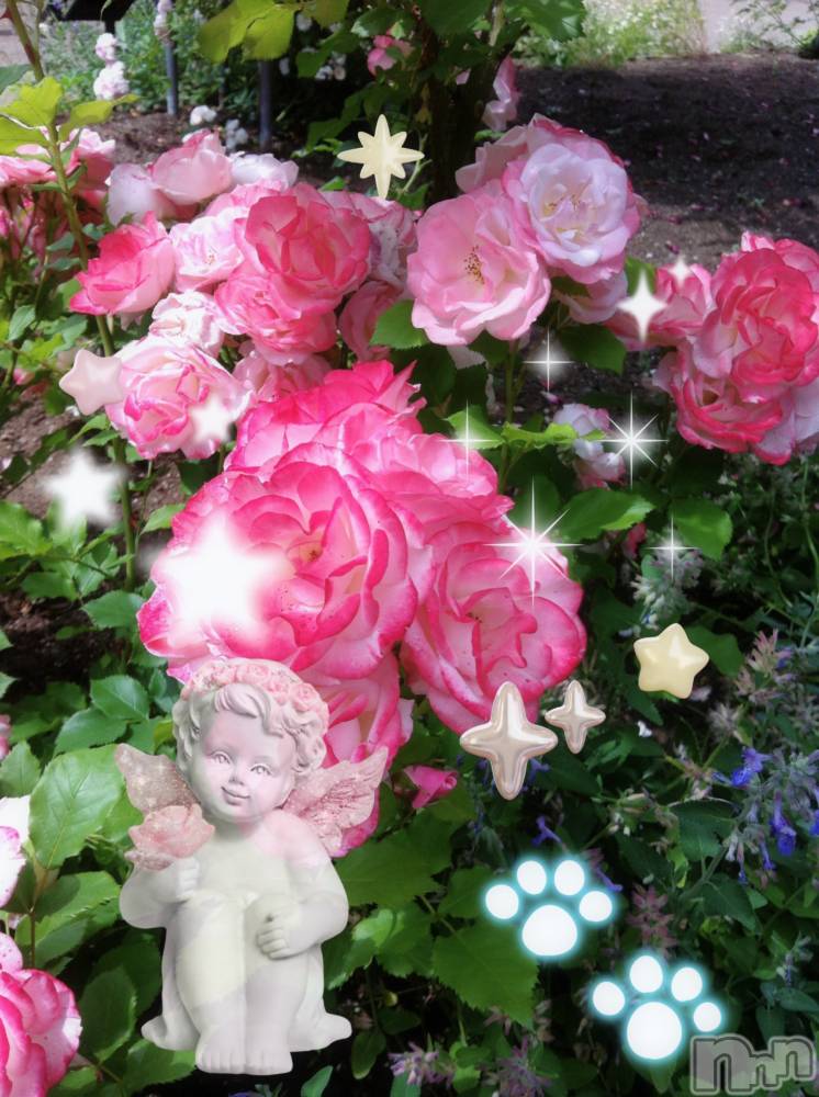 ƲХ顦clubTiara(ƥ) Ĥ718̥֥N152