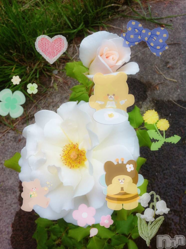 ƲХ顦clubTiara(ƥ) Ĥ726̥֥ޡ