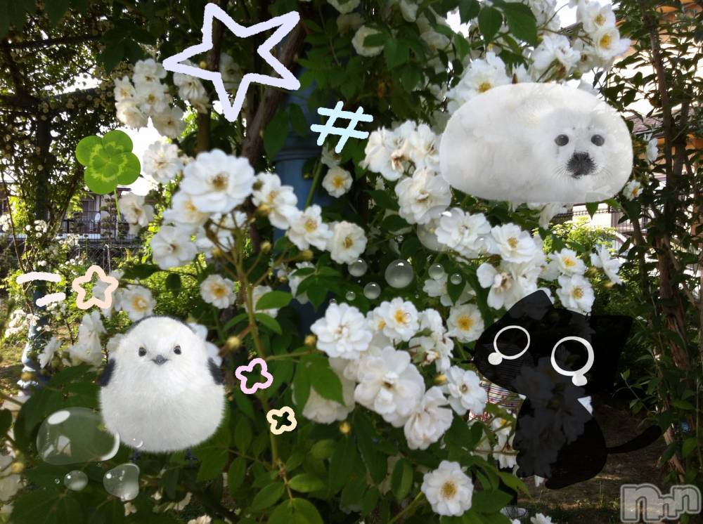 ƲХ顦clubTiara(ƥ) Ĥ81̥֥֤ޤ