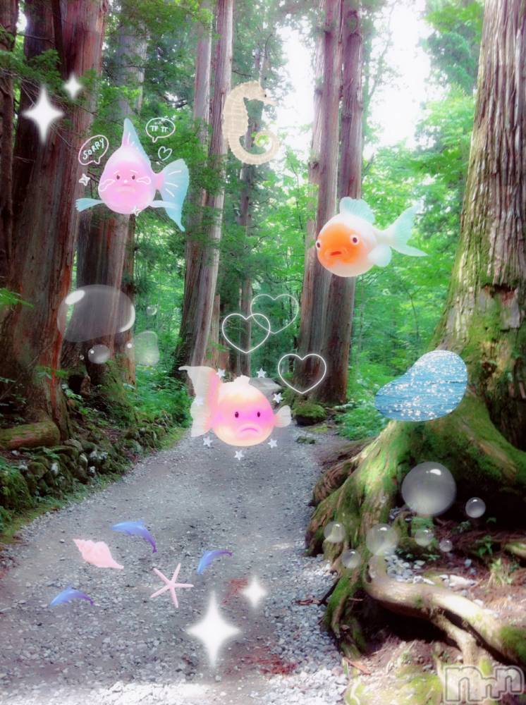 ƲХ顦clubTiara(ƥ) Ĥ810̥֥֤Ѥ
