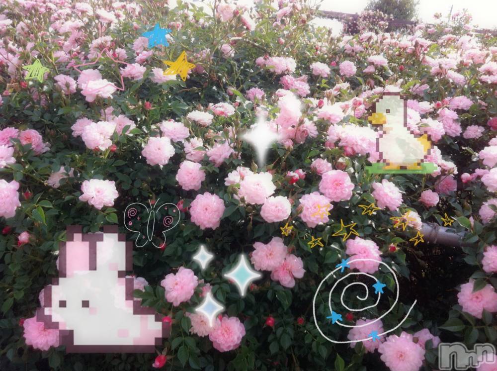 ƲХ顦clubTiara(ƥ) Ĥ814ֿ̥֥