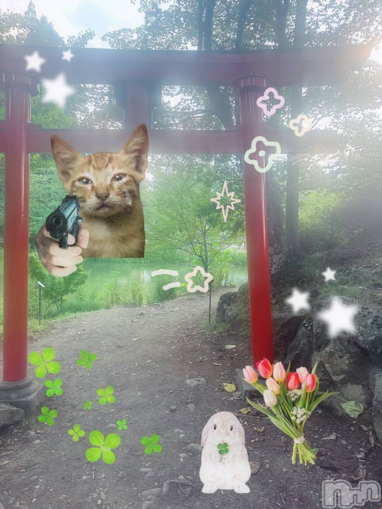 ƲХ顦clubTiara(ƥ) Ĥ816̥֥֤餭