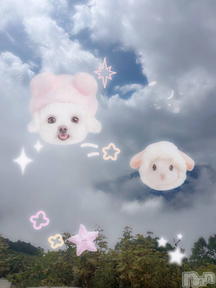 ƲХ顦clubTiara(ƥ) Ĥ923̥֥֤ݤ