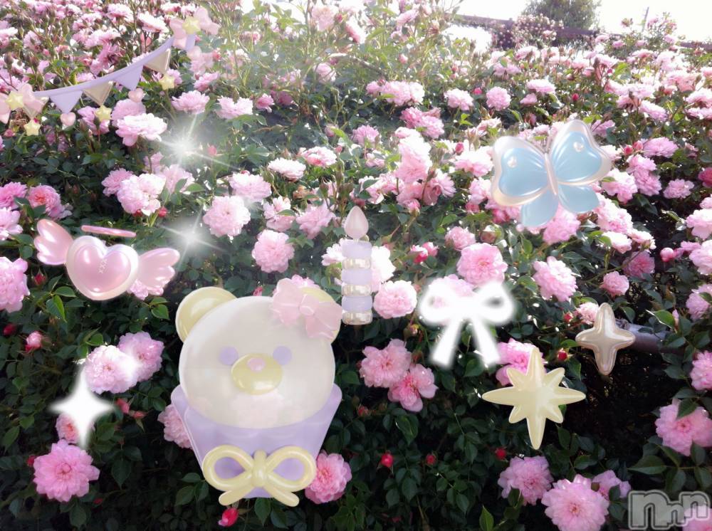 ƲХ顦clubTiara(ƥ) Ĥ929ֱ̥֥ư­