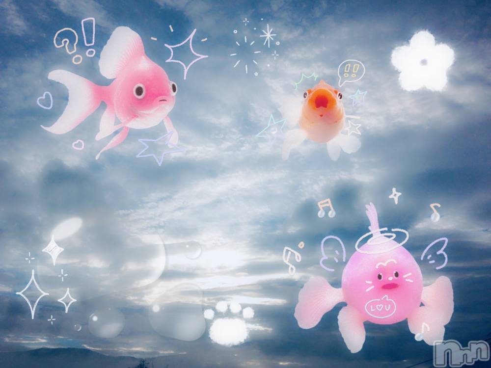 ƲХ顦clubTiara(ƥ) Ĥ104̥֥֤ĤǤݵˡ