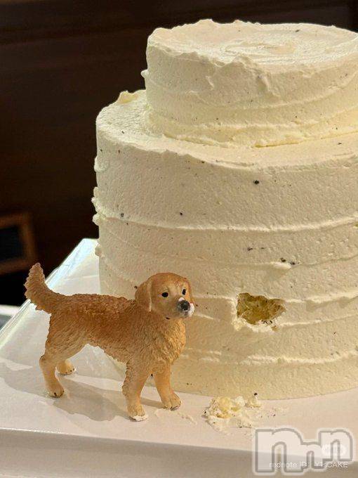 ƲХ顦clubTiara(ƥ) Ĥ112̥֥֤