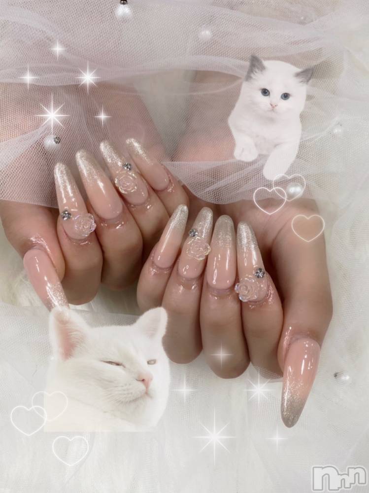 ƲХ顦clubTiara(ƥ) Ĥ1112̥֥֤