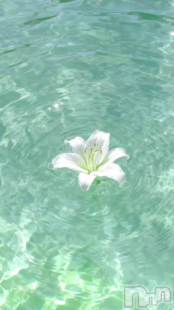 ��Ʋ����Х��顦�����clubTiara(�ƥ�����) �Ĥ���3��16���̥�֥����֤��