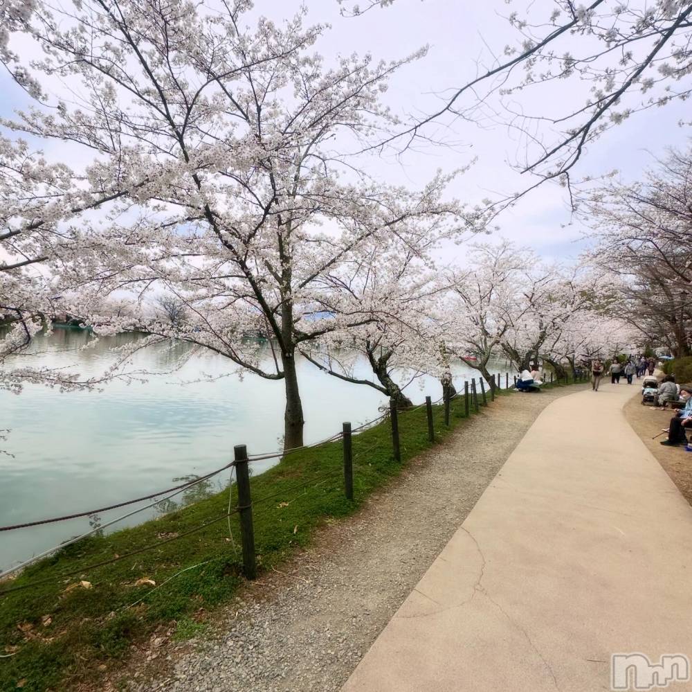 ��Ʋ����Х��顦�����clubTiara(�ƥ�����) �Ĥ���4��16���̥�֥�����🌸��