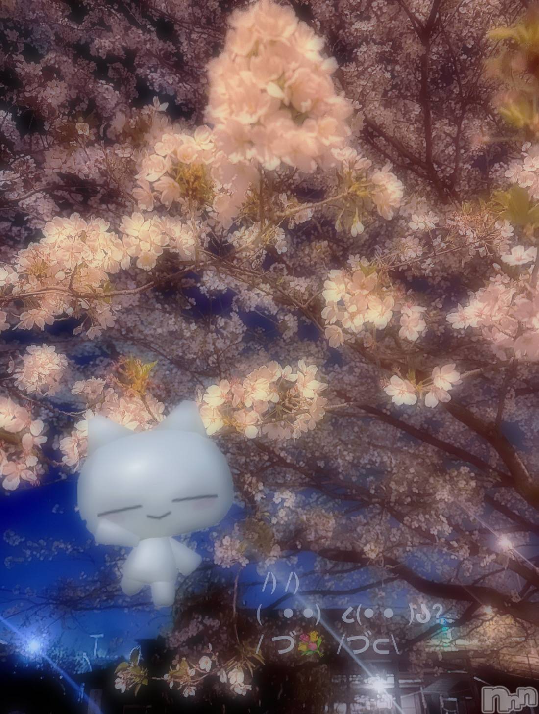 ƲХ顦clubTiara(ƥ) 2025ǯ613̥֥֥ߥȥɥꥢ