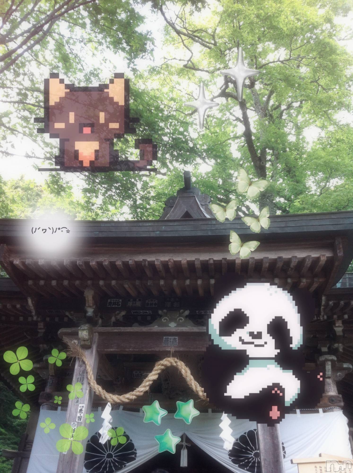 ƲХ顦clubTiara(ƥ) 2025ǯ716̥֥nowwow