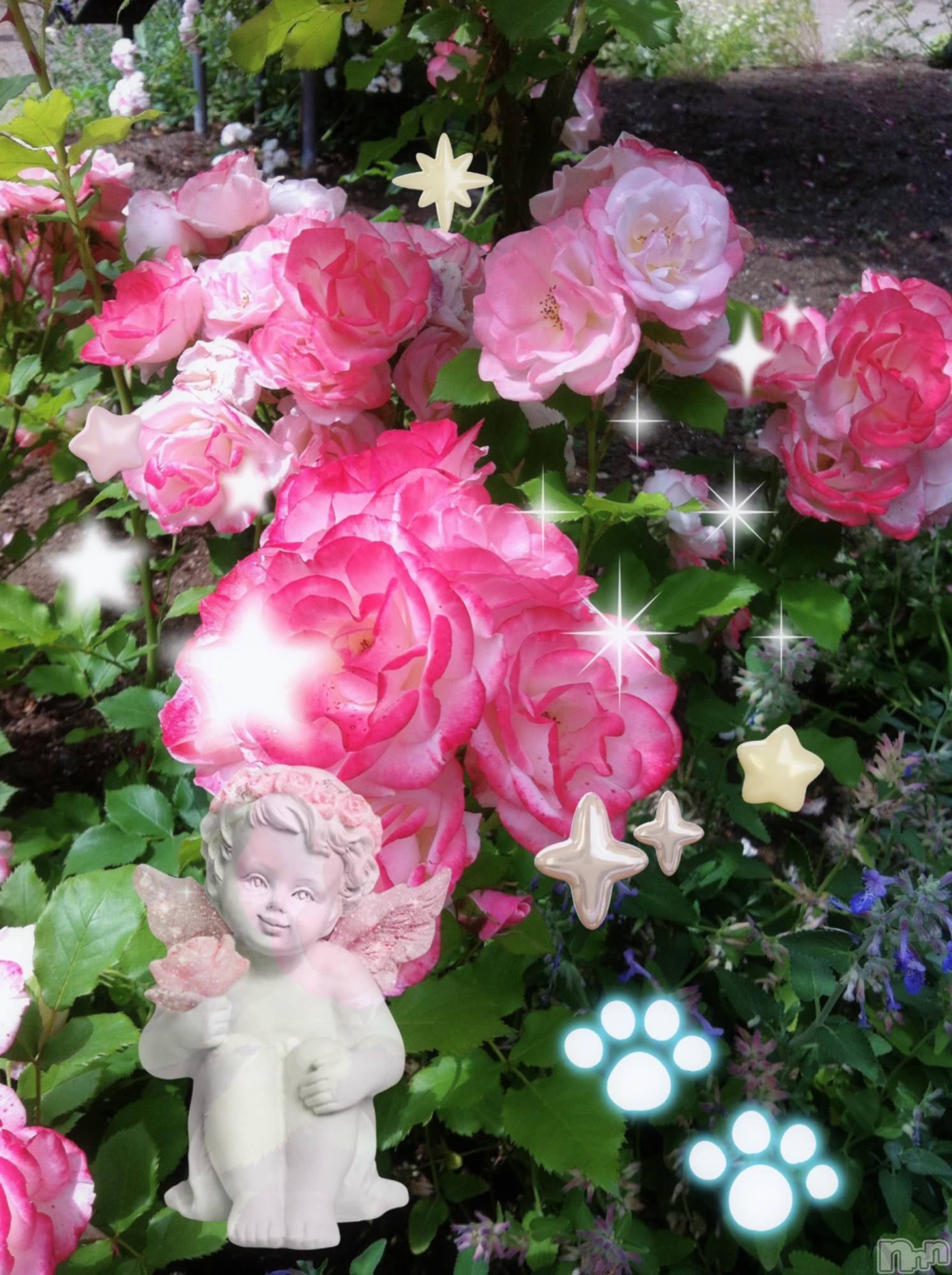 ƲХ顦clubTiara(ƥ) 2025ǯ718̥֥N152