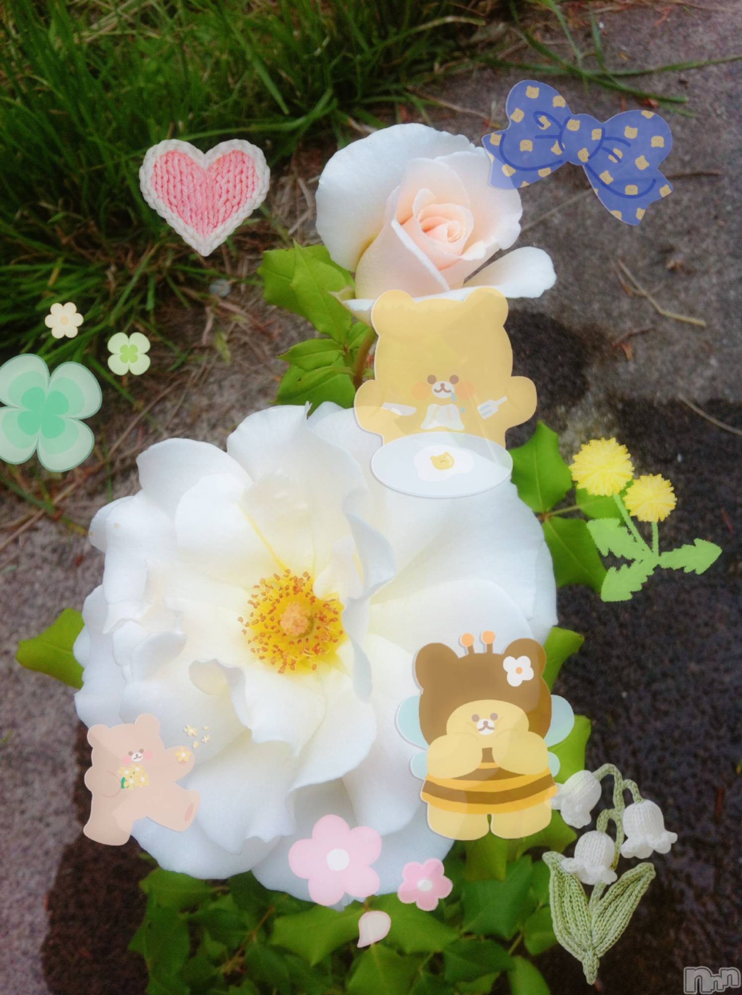 ƲХ顦clubTiara(ƥ) 2025ǯ726̥֥ޡ