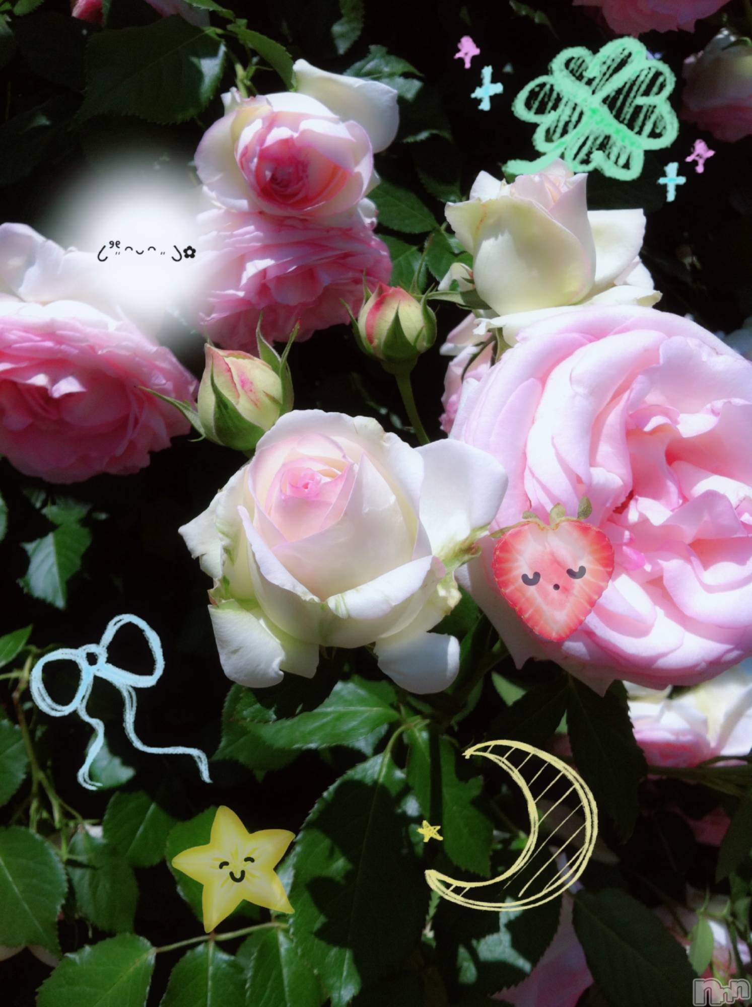 ƲХ顦clubTiara(ƥ) 2025ǯ730̥֥ڽ