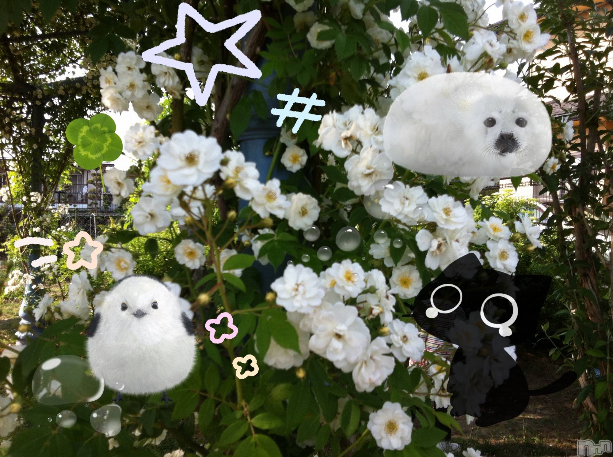 ƲХ顦clubTiara(ƥ) 2025ǯ81̥֥֤ޤ
