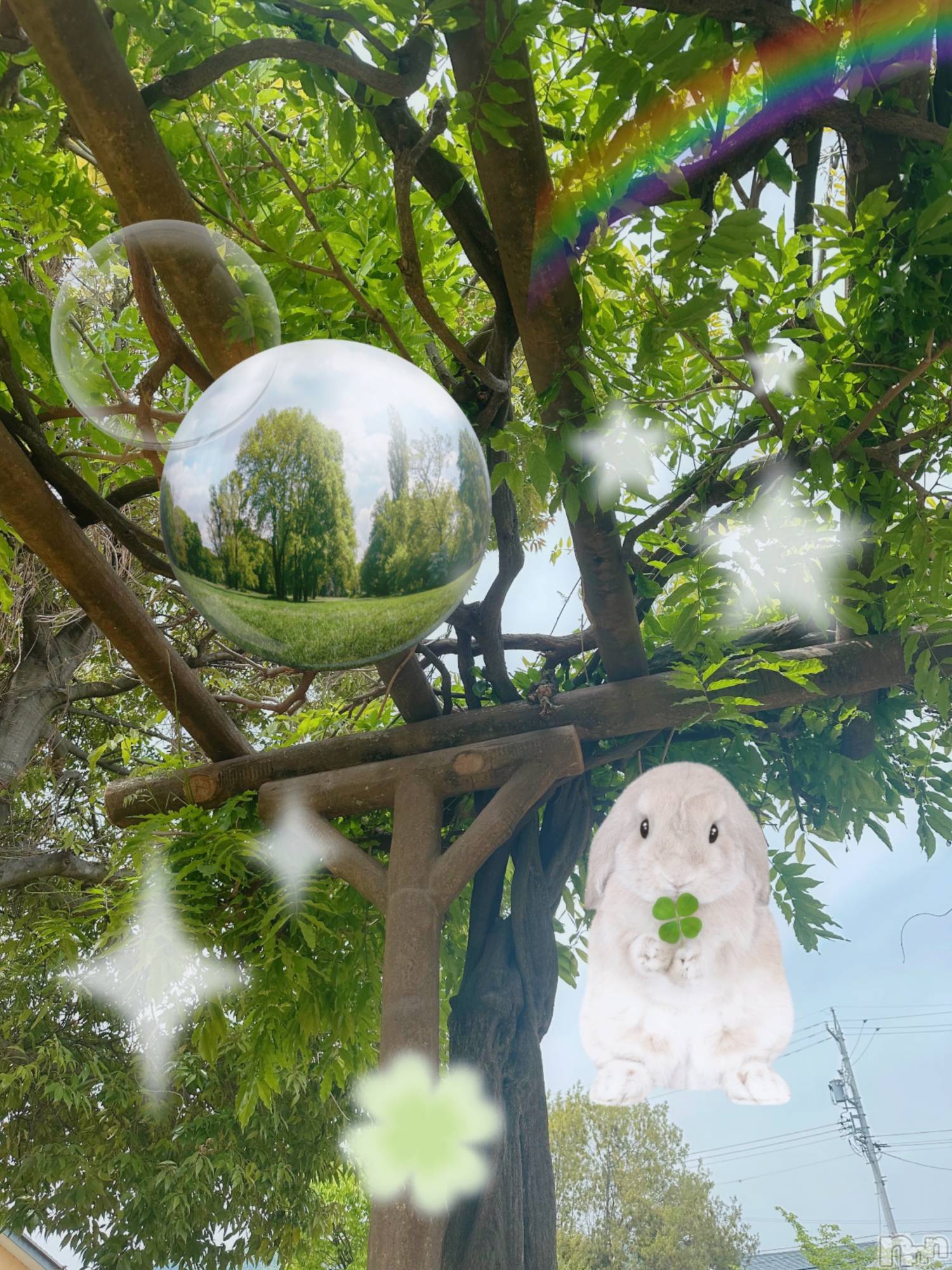 ƲХ顦clubTiara(ƥ) 2025ǯ88̥֥֤ФС