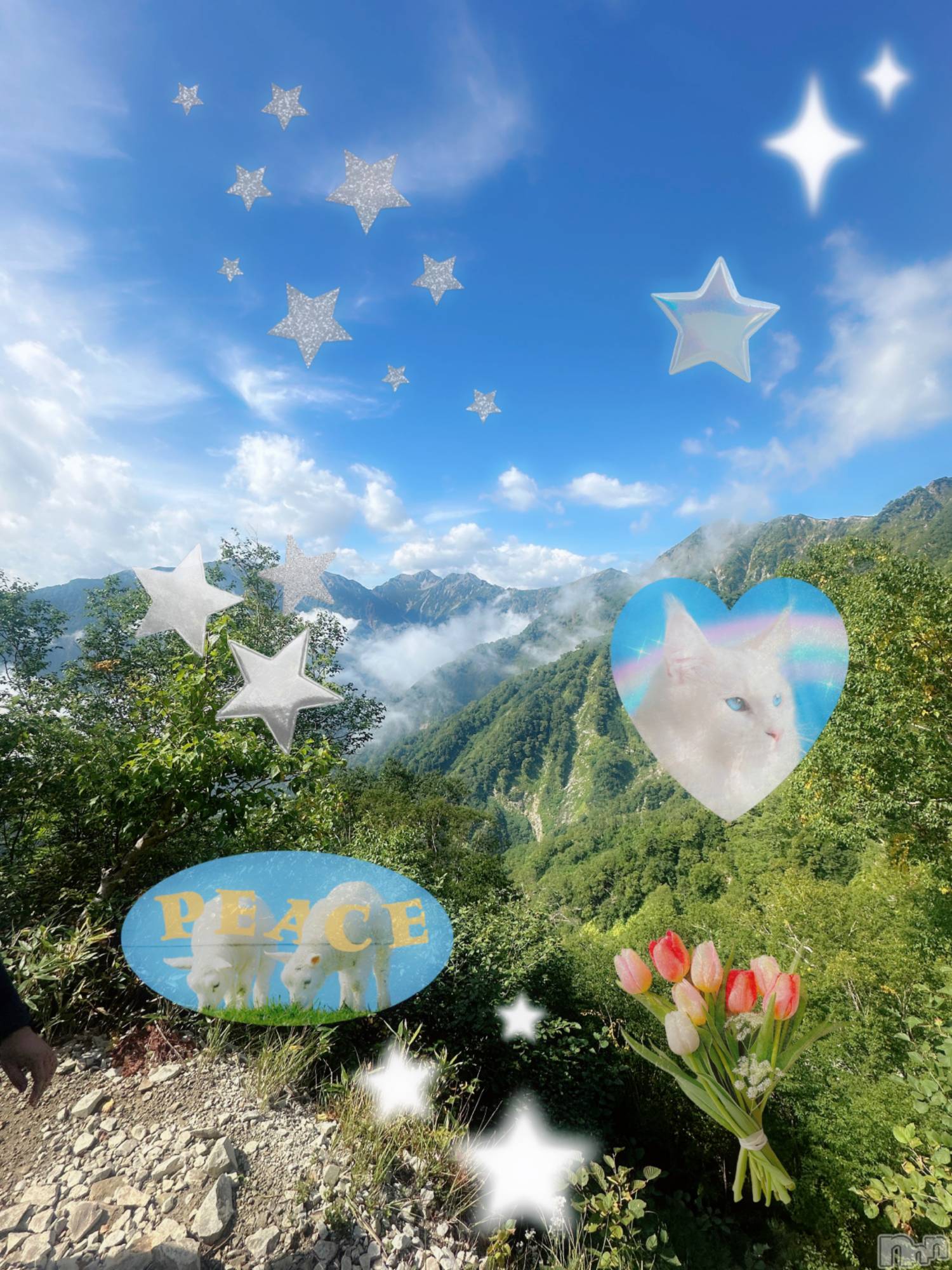 ƲХ顦clubTiara(ƥ) 2025ǯ912̥֥🈚️