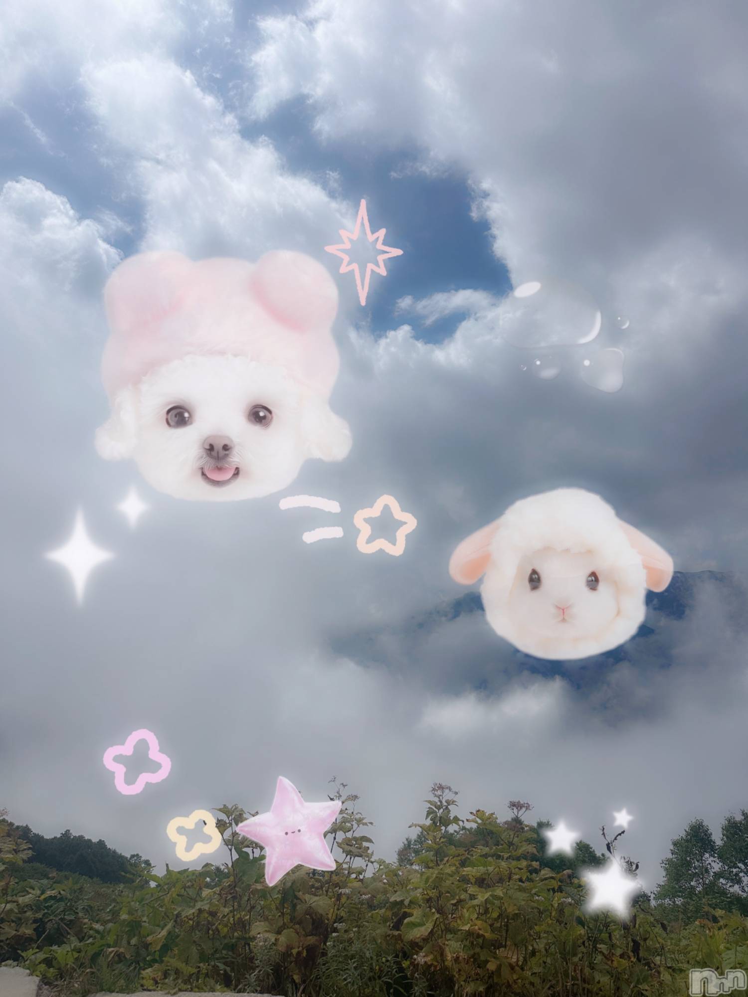 ƲХ顦clubTiara(ƥ) 2025ǯ923̥֥֤ݤ