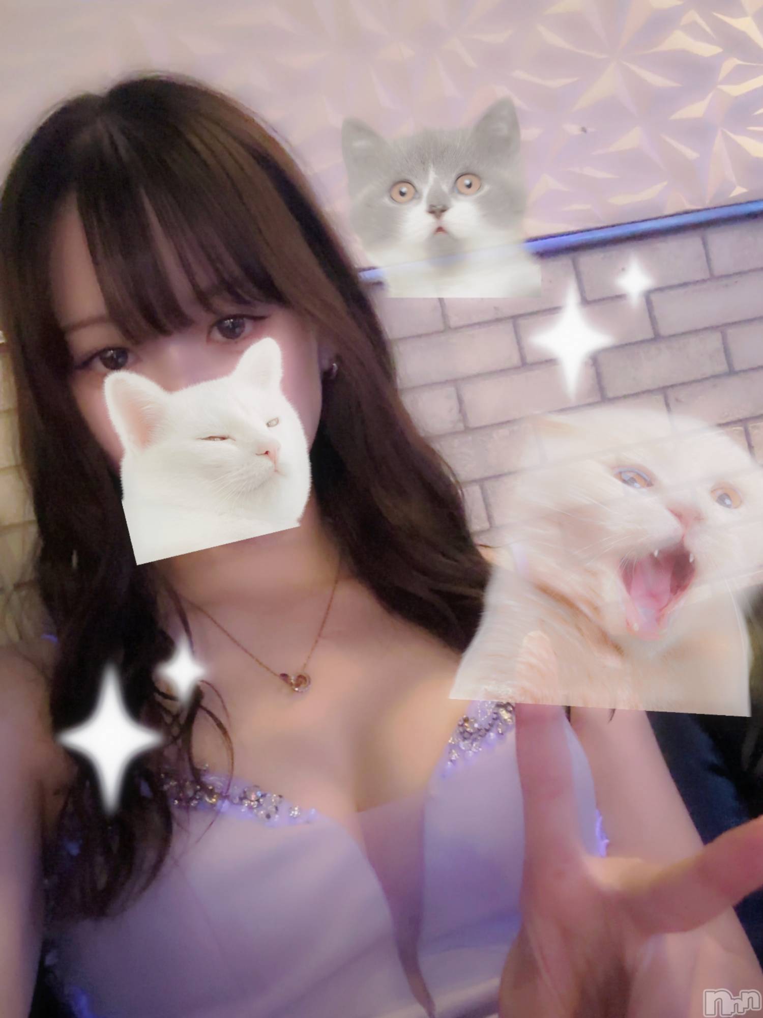 ƲХ顦clubTiara(ƥ) 2025ǯ1012̥֥֤