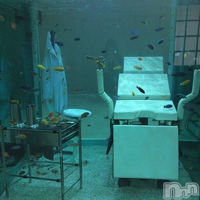 ƲХ顦clubTiara(ƥ) 2025ǯ1119̥֥˻