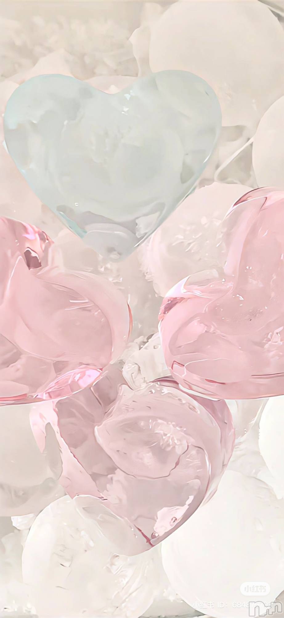 ƲХ顦clubTiara(ƥ) 2025ǯ1128̥֥֤ʡ