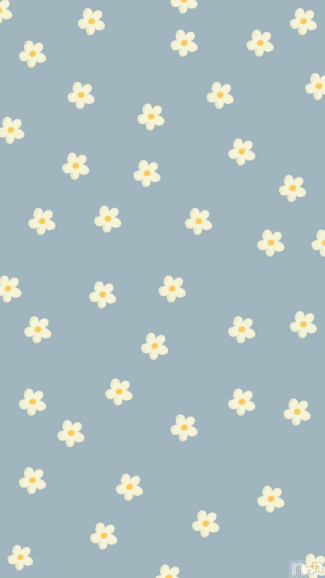 ƲХ顦clubTiara(ƥ) 2025ǯ124ֻ̥֥ǯϺ