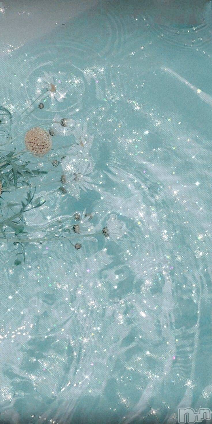 ƲХ顦clubTiara(ƥ) 2025ǯ126̥֥֥