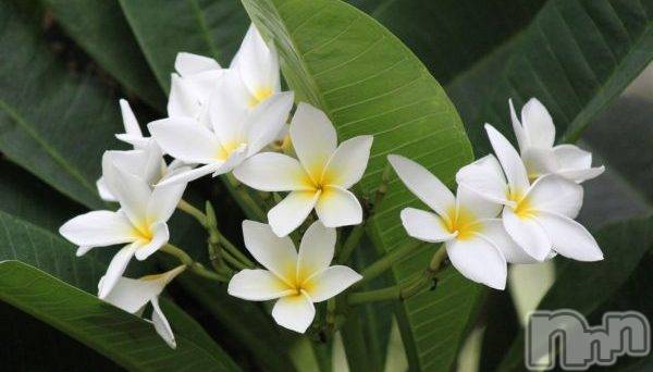 ��Ʋ����Х��顦�����clubTiara(�ƥ�����) ��2025ǯ12��20���̥�֥����֤ˤޡ�