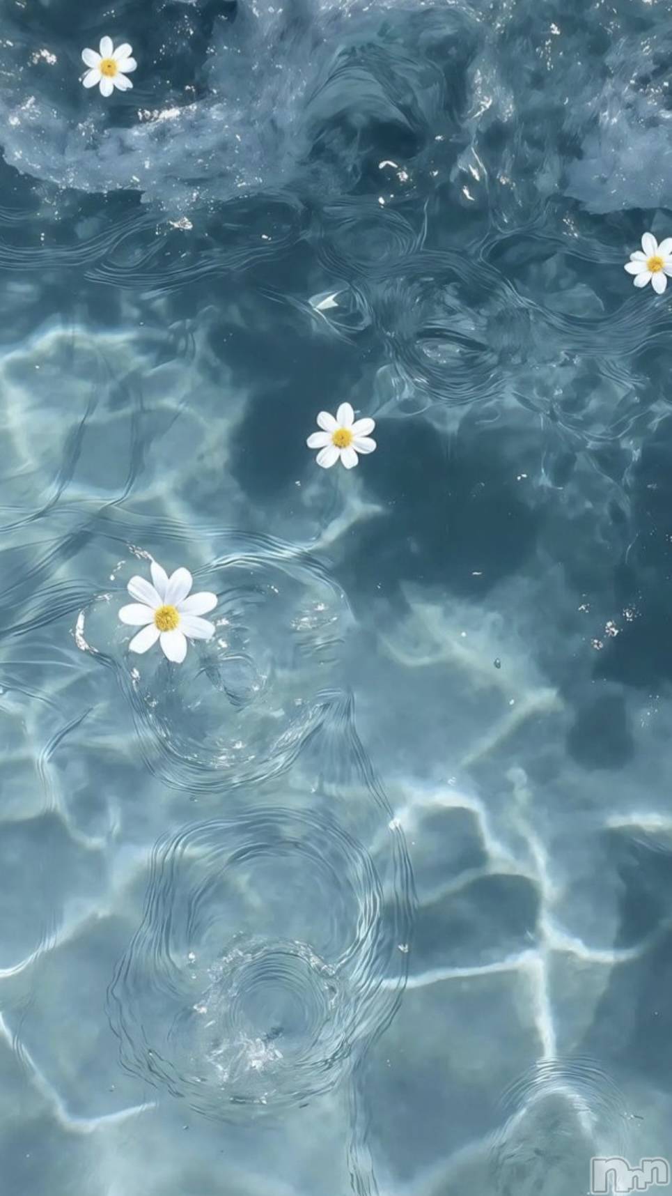 ��Ʋ����Х��顦�����clubTiara(�ƥ�����) ��2026ǯ2��20���̥�֥����֤���路����