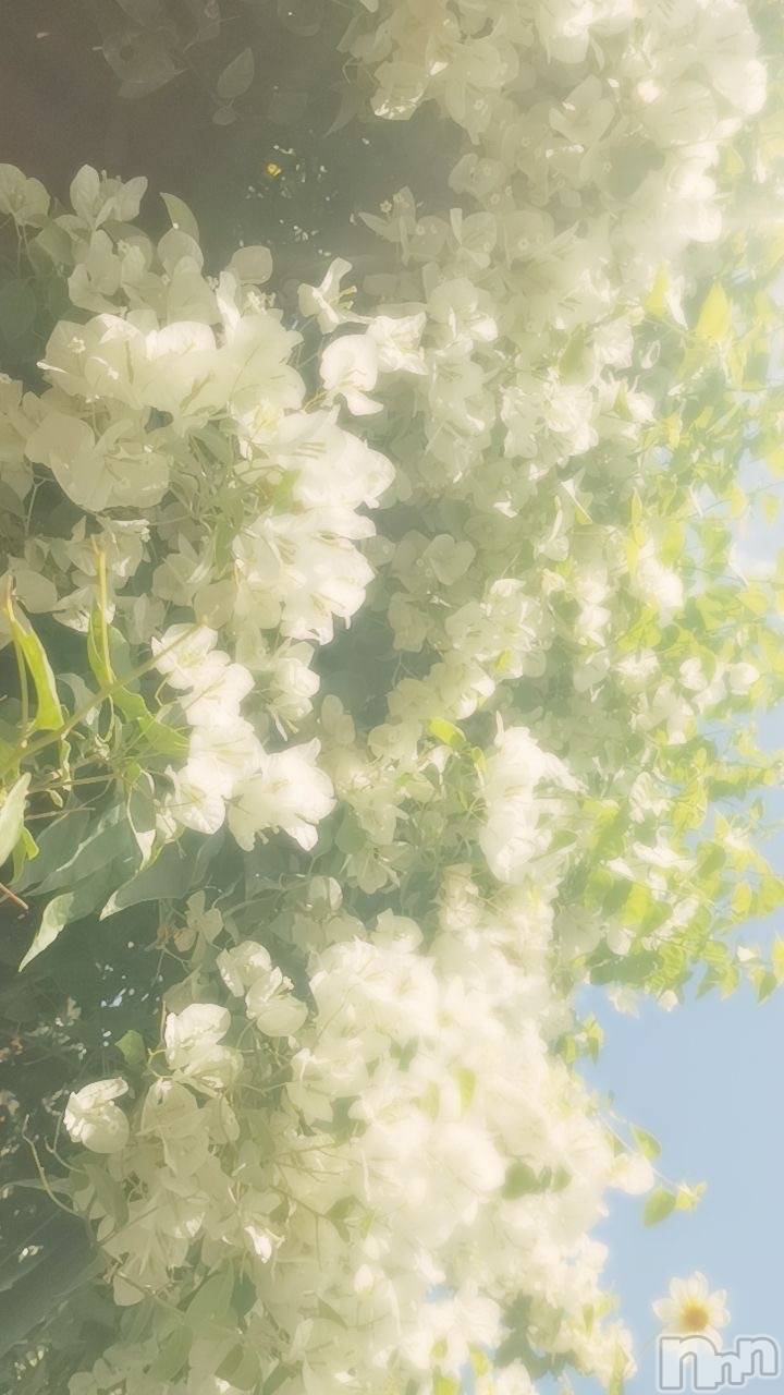 ��Ʋ����Х��顦�����clubTiara(�ƥ�����) ��2026ǯ3��14���̥�֥����֤ѡ�