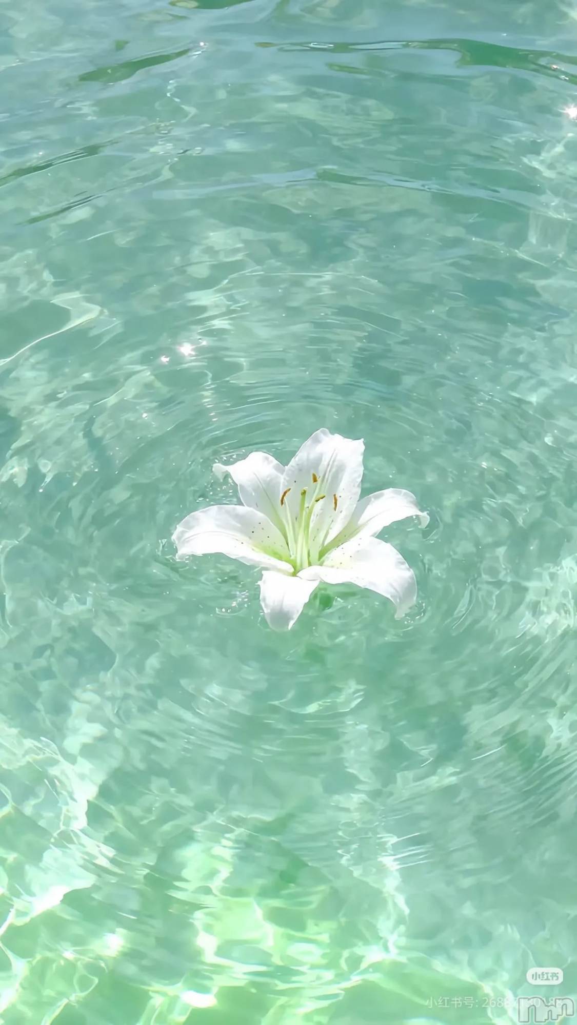 ��Ʋ����Х��顦�����clubTiara(�ƥ�����) ��2026ǯ3��16���̥�֥����֤��