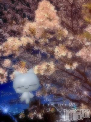 ƲХ顦clubTiara(ƥ) Ĥ613̥֥֥ߥȥɥꥢ