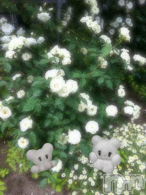 ƲХ顦clubTiara(ƥ) Ĥ614̥֥֥饤ȡ
