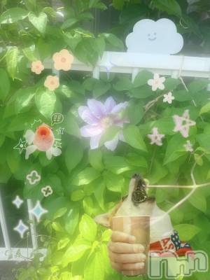 ƲХ顦clubTiara(ƥ) Ĥ713ּ̥֥