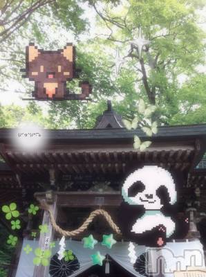 ƲХ顦clubTiara(ƥ) Ĥ716̥֥nowwow