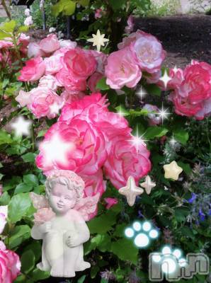 ƲХ顦clubTiara(ƥ) Ĥ718̥֥N152
