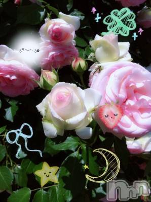 ƲХ顦clubTiara(ƥ) Ĥ730̥֥ڽ