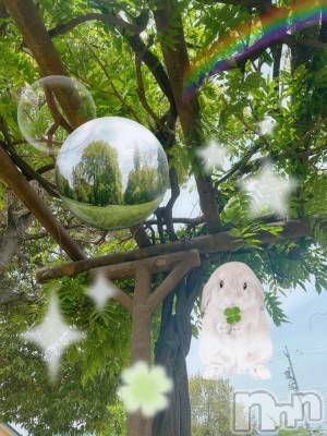 ƲХ顦clubTiara(ƥ) Ĥ88̥֥֤ФС