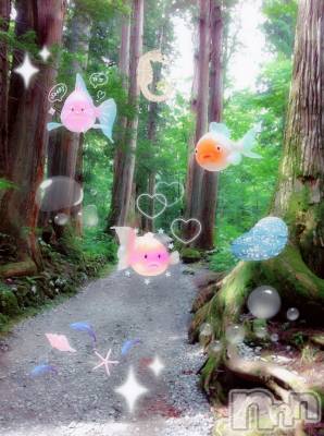 ƲХ顦clubTiara(ƥ) Ĥ810̥֥֤Ѥ