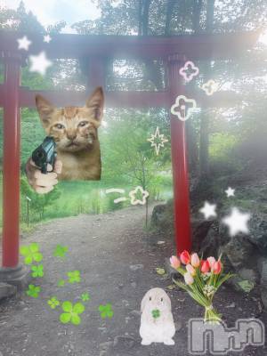 ƲХ顦clubTiara(ƥ) Ĥ816̥֥֤餭