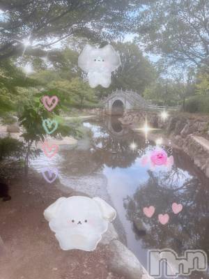 ƲХ顦clubTiara(ƥ) Ĥ95ֲ̥֥ƥХƼäƤ
