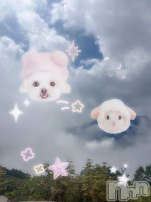 ƲХ顦clubTiara(ƥ) Ĥ923̥֥֤ݤ