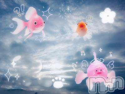 ƲХ顦clubTiara(ƥ) Ĥ104̥֥֤ĤǤݵˡ