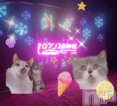 ƲХ顦clubTiara(ƥ) Ĥ1010̥֥֥ꥪȥξ