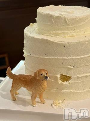 ƲХ顦clubTiara(ƥ) Ĥ112̥֥֤