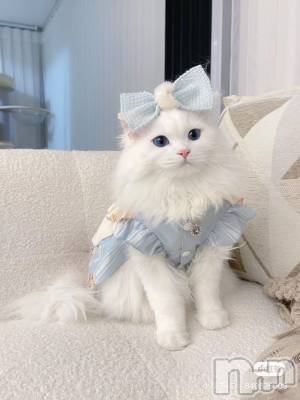 ��Ʋ����Х��顦�����clubTiara(�ƥ�����) �Ĥ���12��10���̥�֥����֥ɥ쥹��ä���