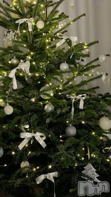 ��Ʋ����Х��顦�����clubTiara(�ƥ�����) �Ĥ���12��14���̥�֥����֤ͤ��